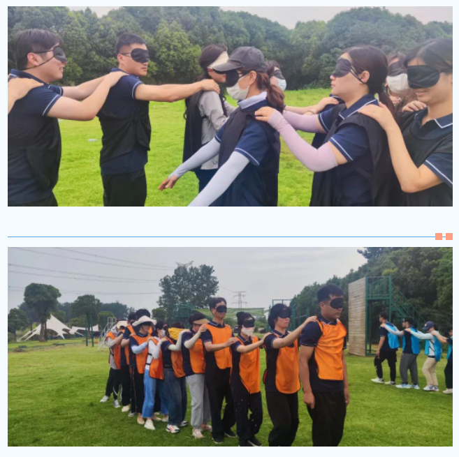 九游app：勇攀高峰——泰丰文化2023年员工拓展培训活动圆满结束(图3)