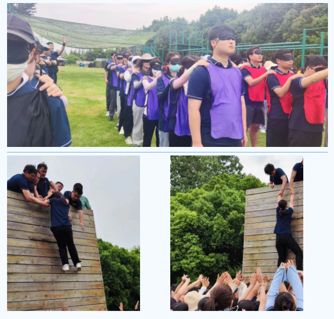 九游app：勇攀高峰——泰丰文化2023年员工拓展培训活动圆满结束(图4)
