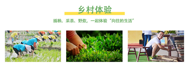 春季团建2024春游踏青春季团建推荐