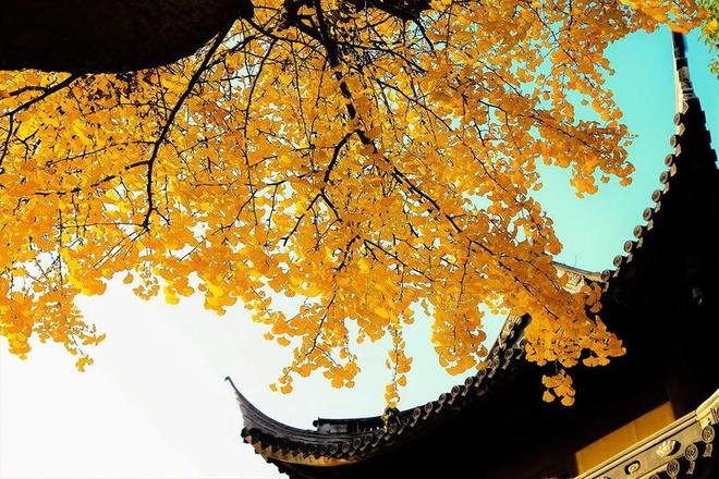 九游app入口：【关注】济南福彩开展“福彩同行共筑精彩”团建活动(图4)