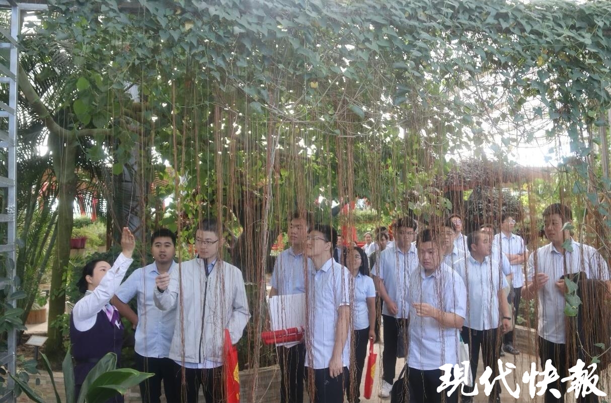 农行盐城阜宁支行主题团建活动激发奋进力量