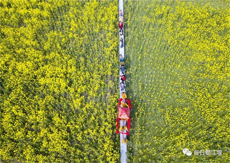 九游app入口：春季团建2024成都周边18个油菜花团建地方推荐(图7)