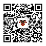什么是拓展团建？有什么意义？(图1)