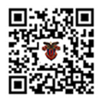 什么是拓展团建？有什么意义？(图2)