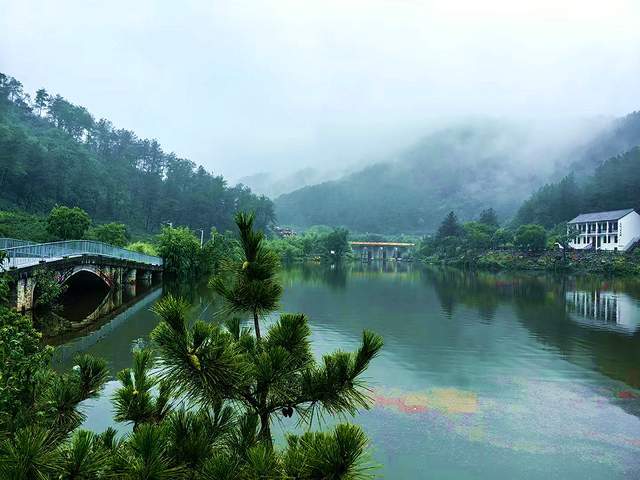 桐柏县禺峰茶园民宿：寻觅山野清凉与茶香雅韵(图1)