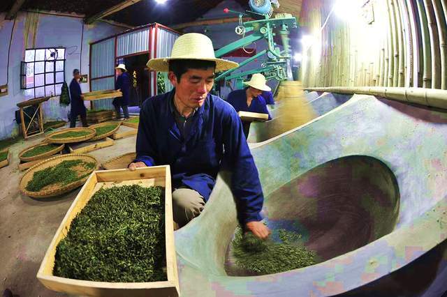 桐柏县禺峰茶园民宿：寻觅山野清凉与茶香雅韵(图3)