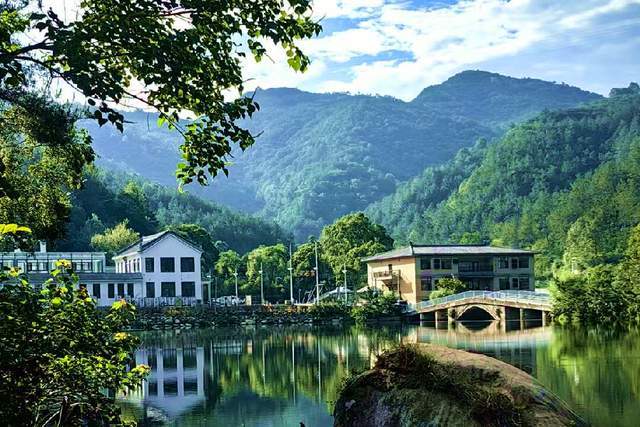 桐柏县禺峰茶园民宿：寻觅山野清凉与茶香雅韵(图5)