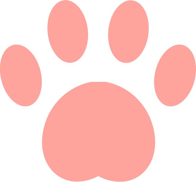 九游app：@残疾人朋友众多适残岗位等你投递→(图9)