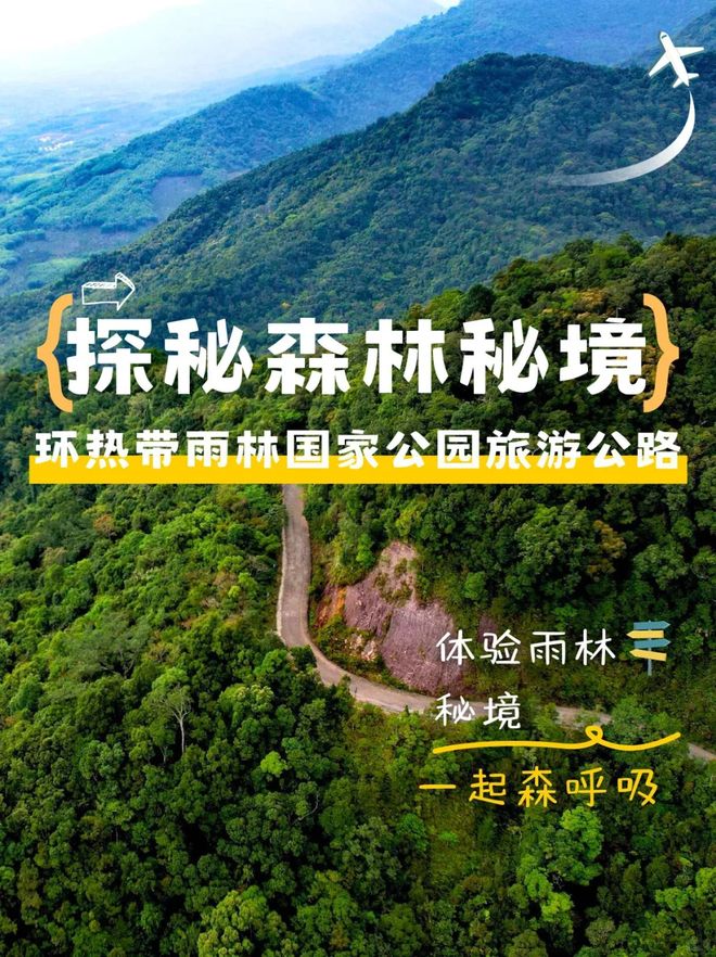 海口高端团建策划｜2025最新热带雨林拓展+海岛生存训练方案(图2)