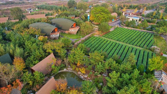 1800余家！旺季一房难求！日照这里太火爆了！(图1)