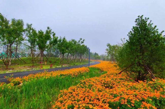 九游app入口：2024年去怀柔CS方案怀柔拓展团建二日游方案(图6)