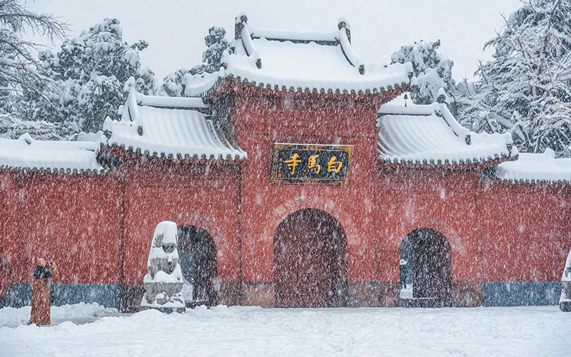 洛阳年会团建机构怎么选？河南企业综合评估与六家推荐(图2)