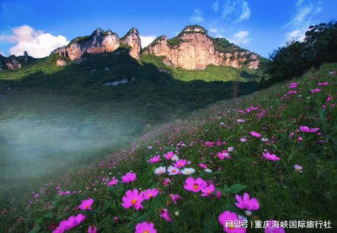 重庆企业团建定制游攻略：选对伙伴让团队凝聚力满格(图5)