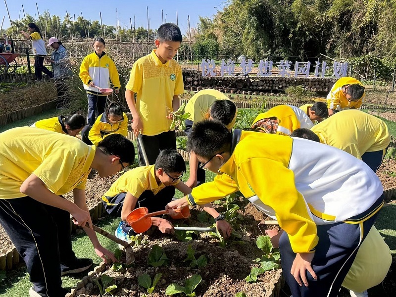 “共享菜园”拓展增收新赛道(图4)