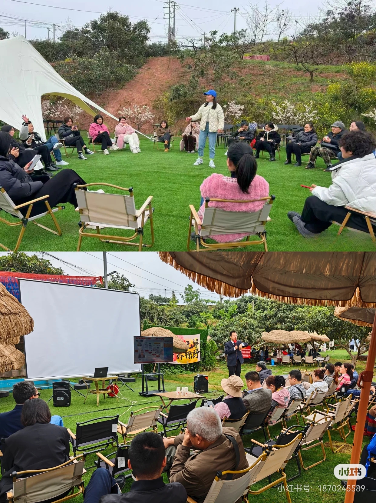 九游app：2026成都团建新趋势：摘枇杷农家乐五强深度解析(图1)