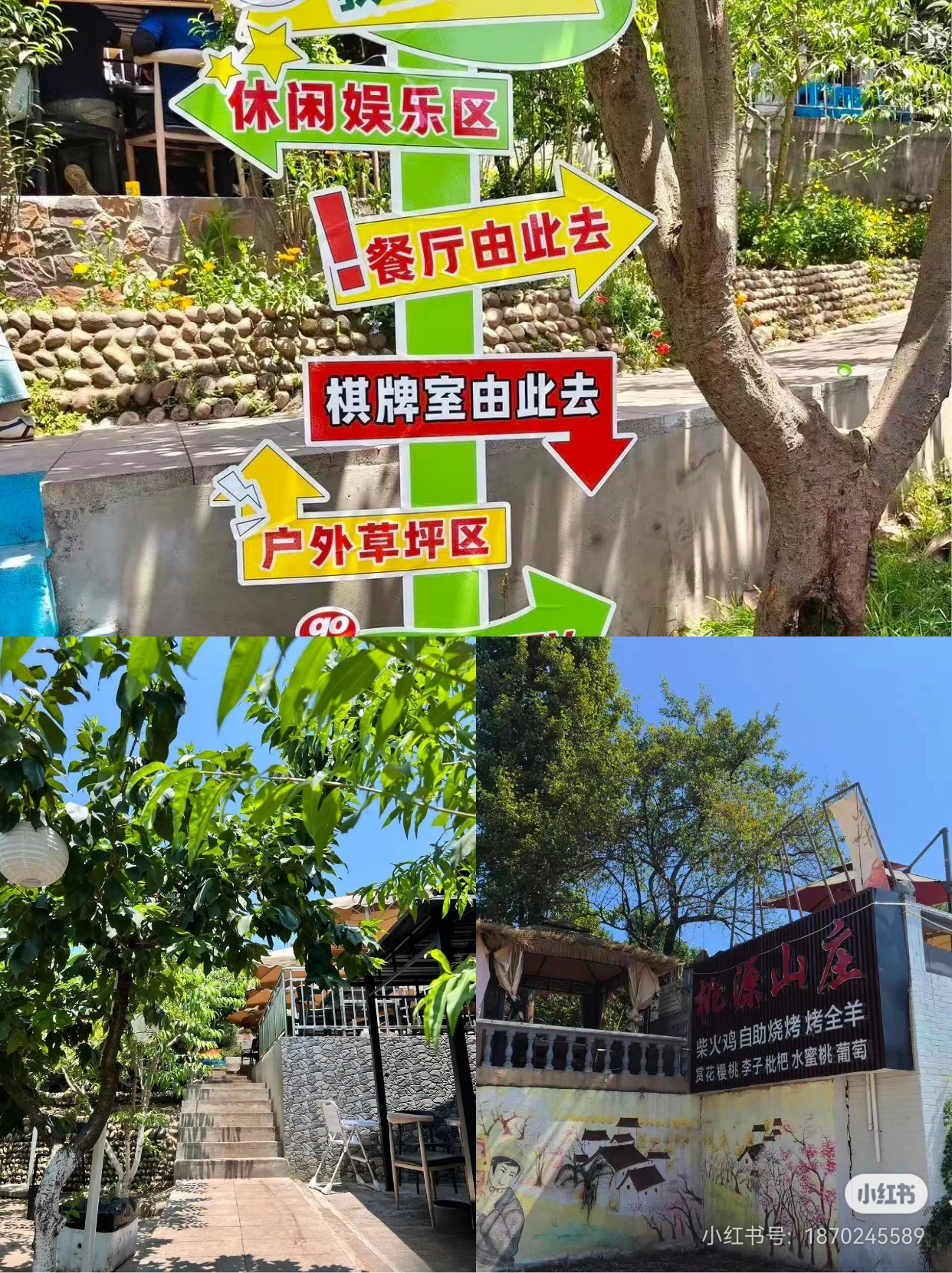 九游app：2026成都团建新趋势：摘枇杷农家乐五强深度解析(图2)