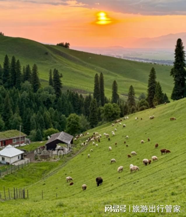 九游app：新疆八日游团建攻略：小包团定制路线+美食地图团队出行也轻松(图2)