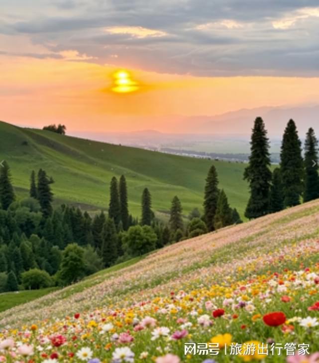 九游app：新疆八日游团建攻略：小包团定制路线+美食地图团队出行也轻松(图3)