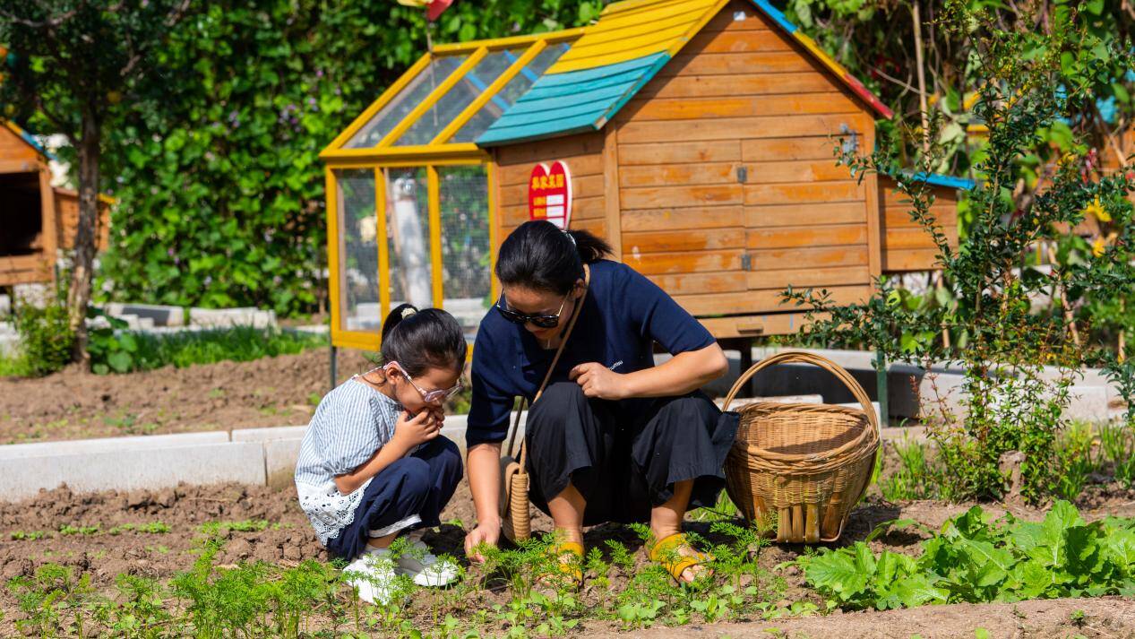 高质量发展看任城｜运河之畔满目新乡村振兴正当时(图3)