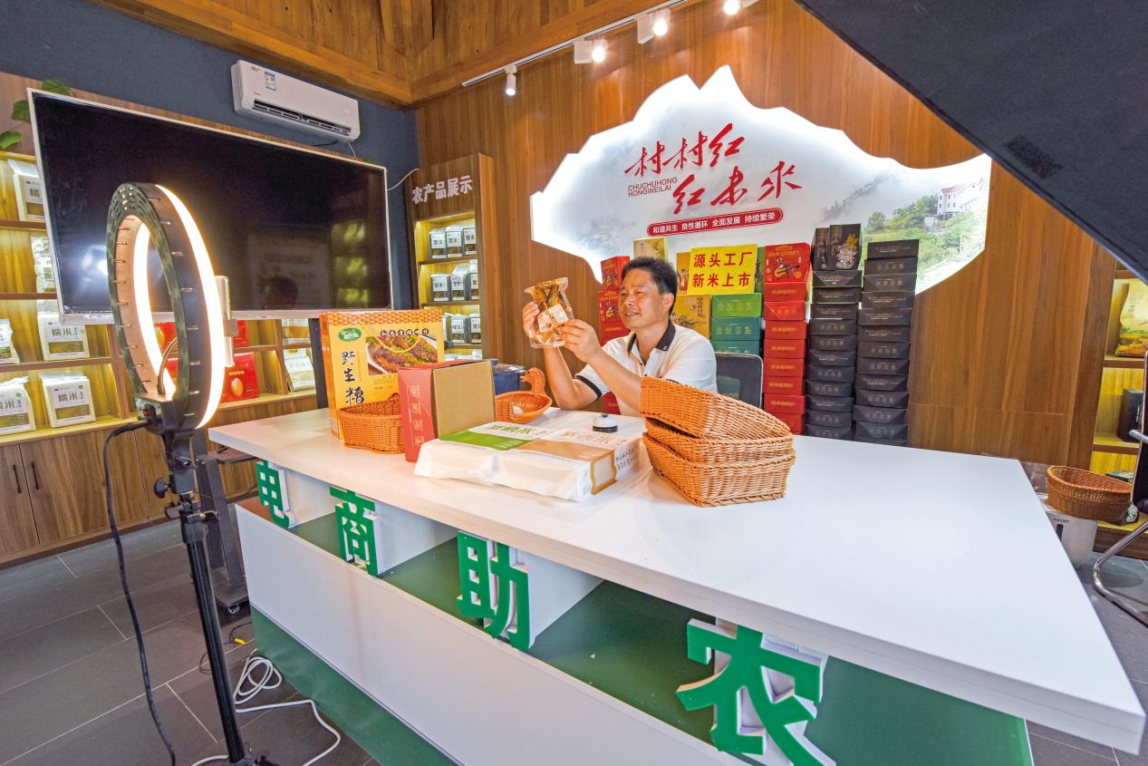 济宁市任城区：运河之畔满目新乡村振兴正当时(图2)