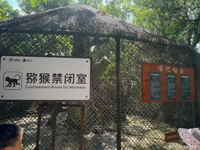 海南靠谱旅行社首选三亚团建就找海南独角兽旅行社专业省心(图2)