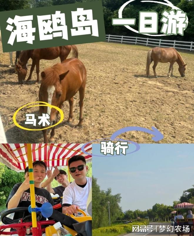 九游app：广州的宝藏农庄！太适合广州公司团建啦！(图3)