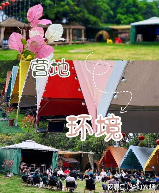九游app：广州的宝藏农庄！太适合广州公司团建啦！(图5)