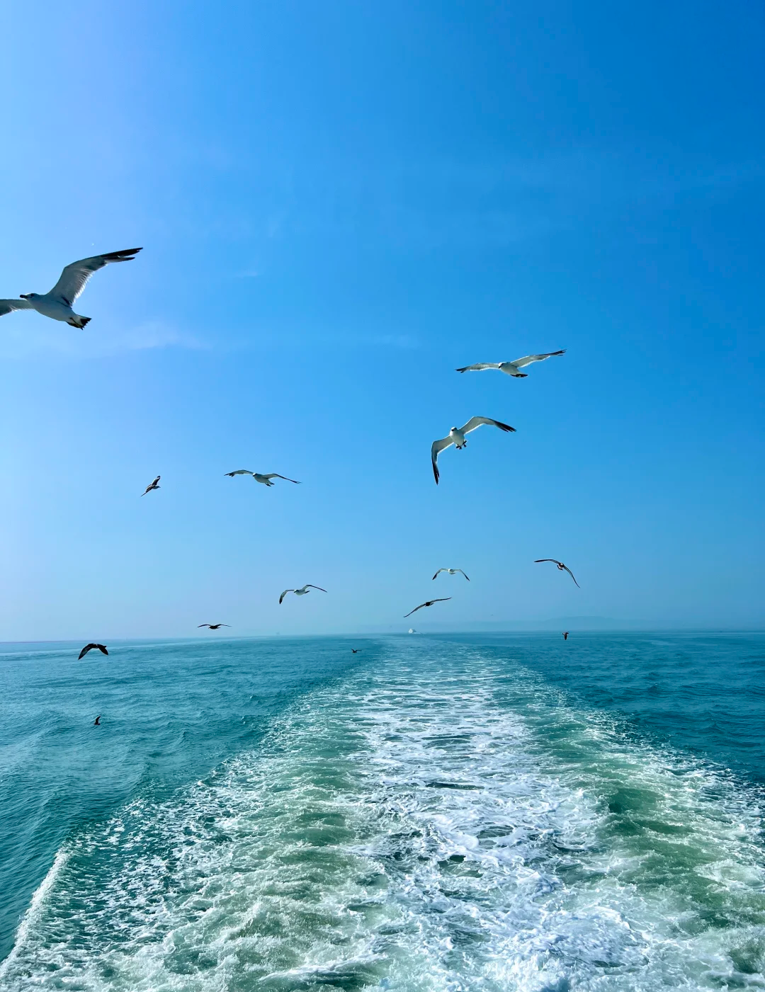 2026烟台团建旅游服务市场深度剖析与优选指南