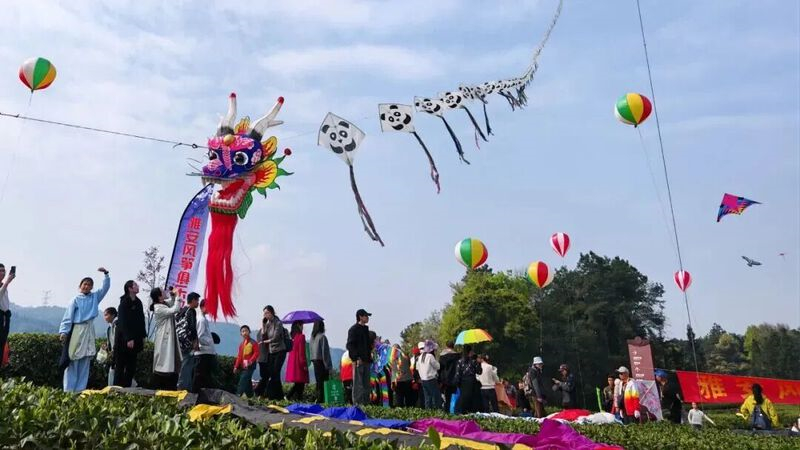 九游体育：茶海藏春·盛宴启幕——雅安市名山区4月文旅系列活动邀您赴一场茶韵春日之约！(图3)