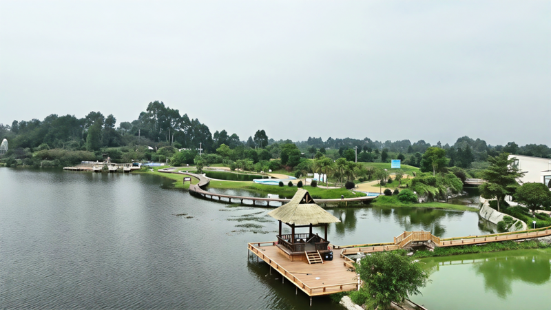 九游体育：茶海藏春·盛宴启幕——雅安市名山区4月文旅系列活动邀您赴一场茶韵春日之约！(图6)