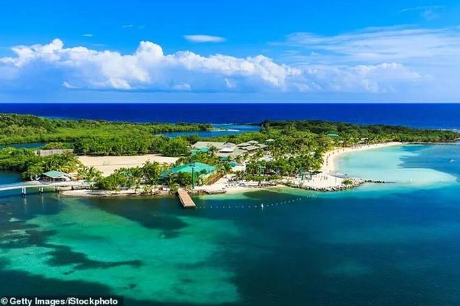 大爆笑美国公司团建变荒野求生！吃狼蛛、坐蚂蚁窝头顶掉豪猪这都啥啊！(图14)