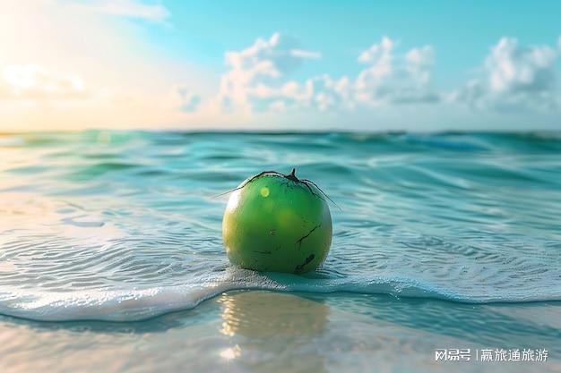 三亚团建｜海南团建优选地高颜值旅游文案与玩法全攻略(图3)