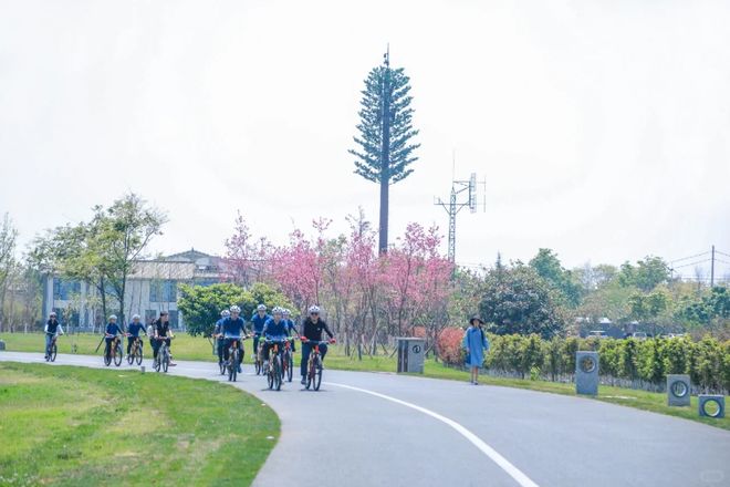 告别无效团建！把公司会议搬到大理团队凝聚力直接拉满(图3)