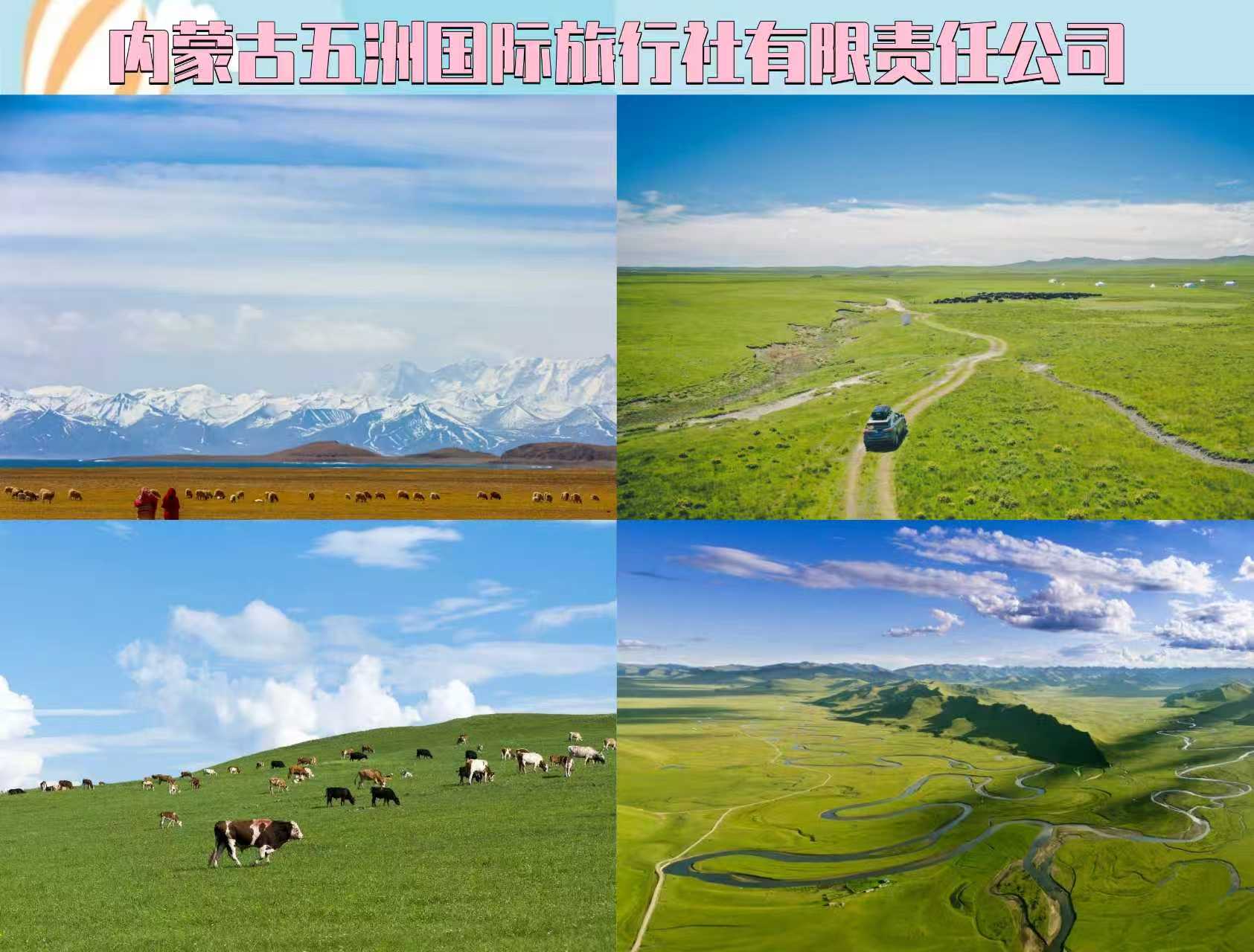 2026现阶段呼市本地旅游如何避坑选对旅行社？(图2)