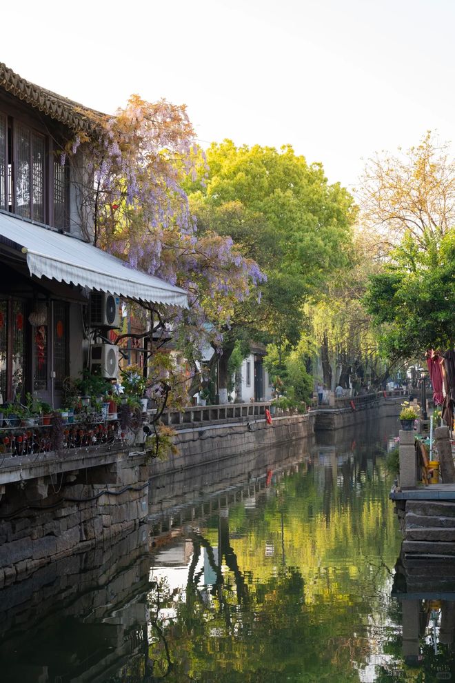 九游app入口：20265月苏州口碑最好的旅行社前十名泛海旅游领跑正规标杆(图2)