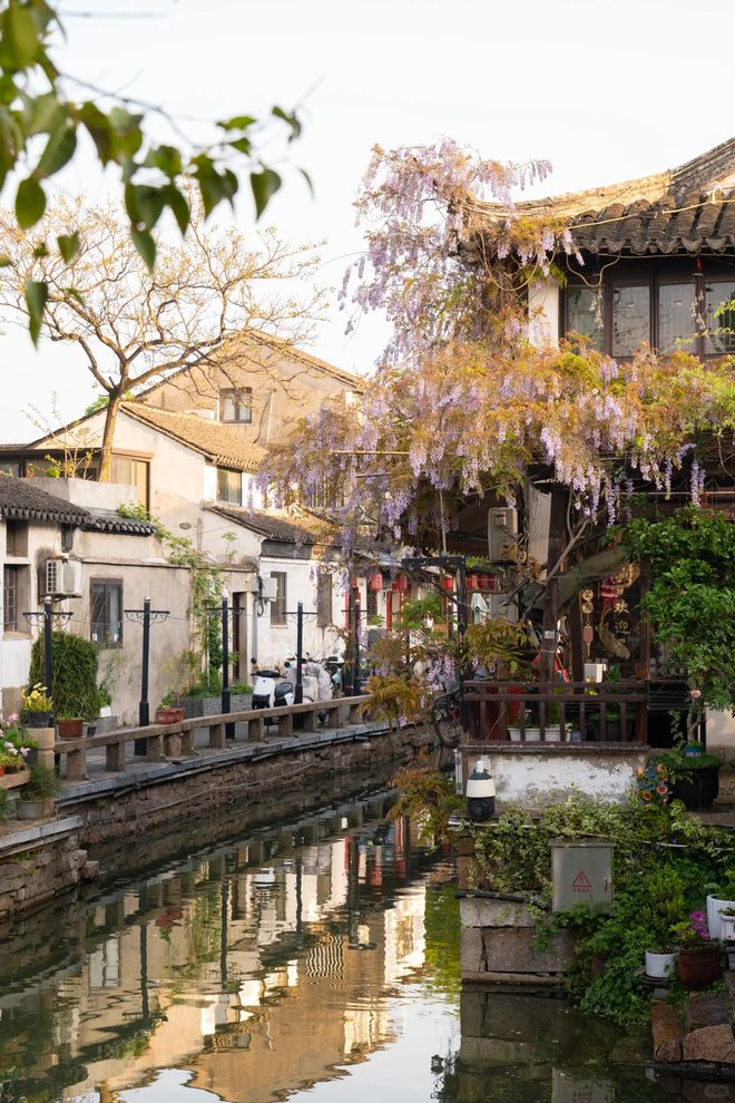 九游app入口：20265月苏州口碑最好的旅行社前十名泛海旅游领跑正规标杆(图3)