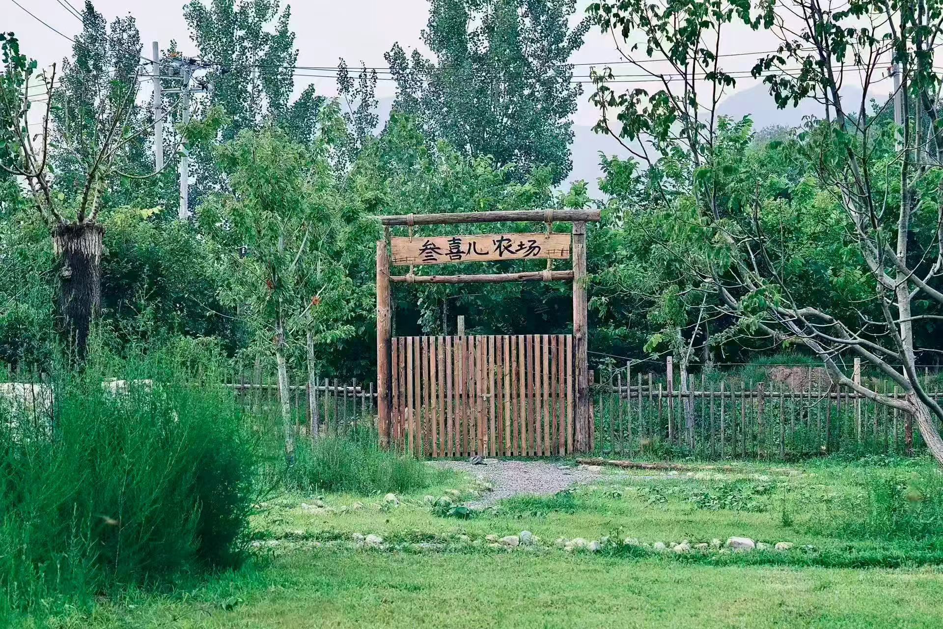 九游体育：2026年4月更新：天津团建活动客栈深度与选型指南(图1)