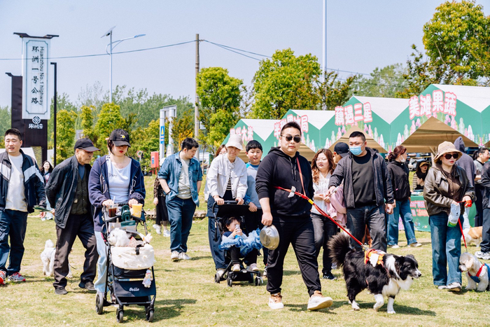 九游体育：宠物经济融入田园休闲扬州培育“携宠下乡”度假消费新场景(图4)