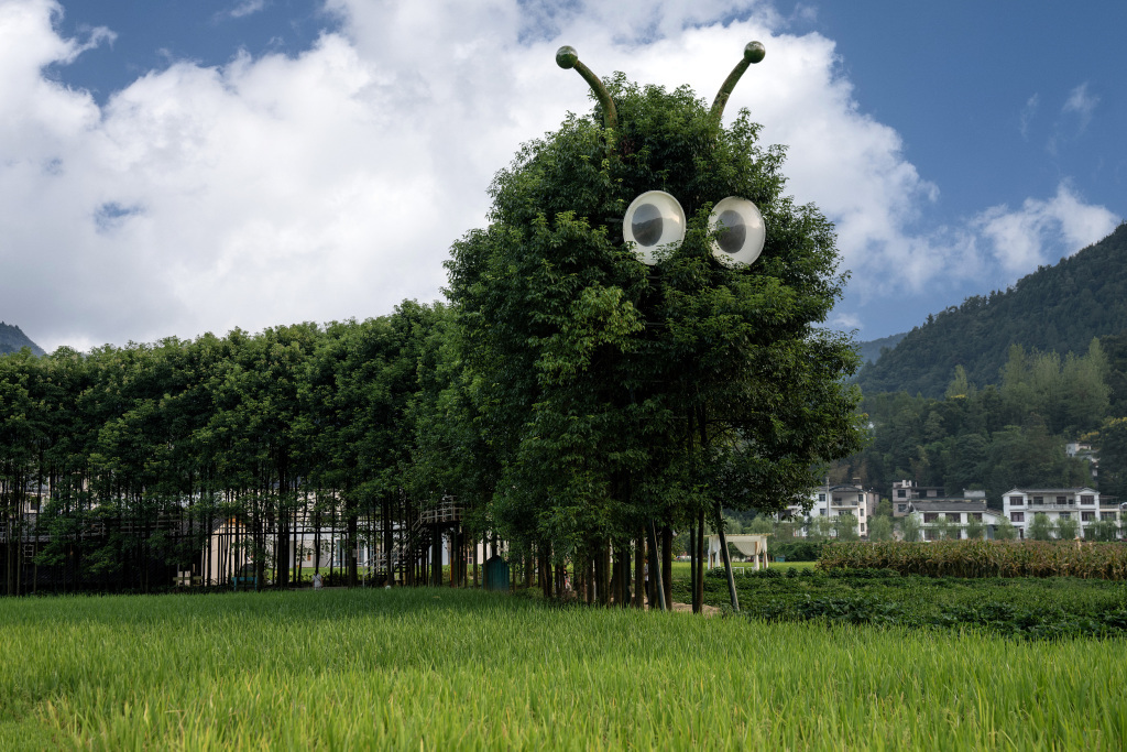 九游体育：恩施两座小山村的出圈密码(图2)