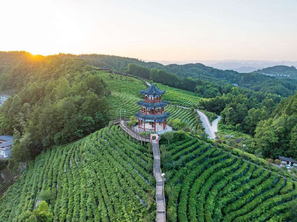 九游体育：恩施两座小山村的出圈密码(图5)