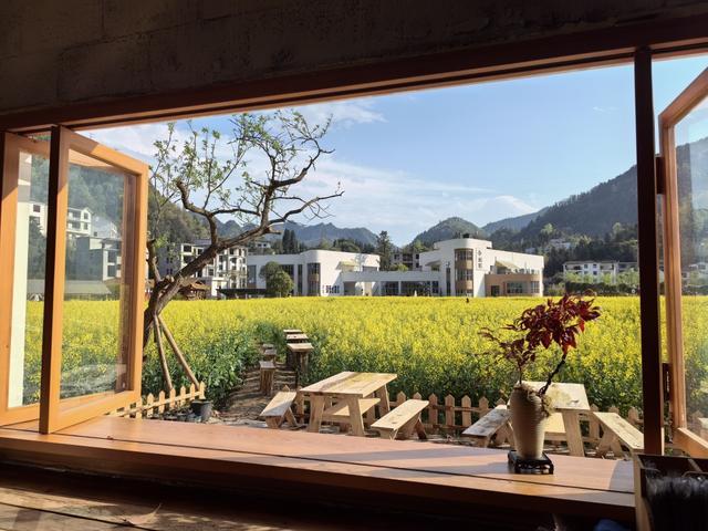 九游app入口：恩施两座小山村的出圈密码：艺术改变生活茶山做出吸引力(图2)